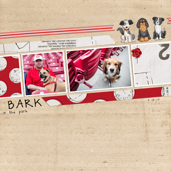Bark In The Park