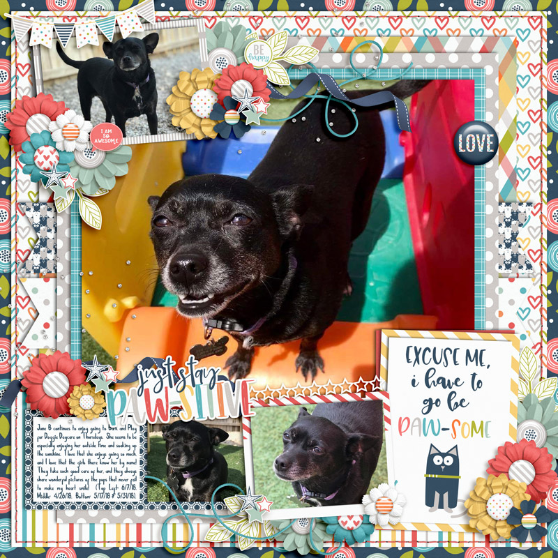 Bark & Play