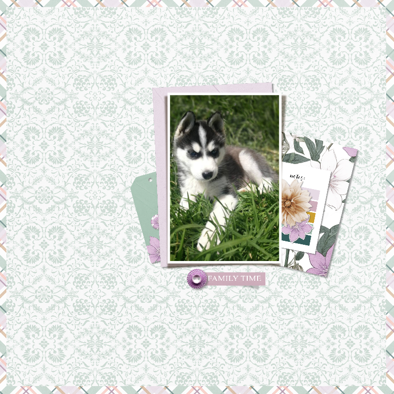 Barnyard buddies: Milo