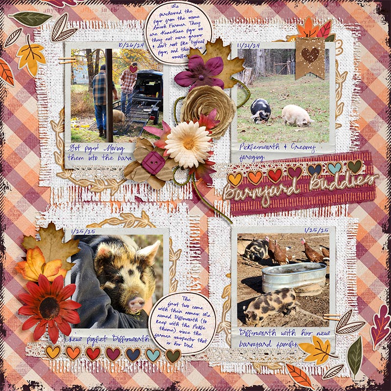 Barnyard Buddies