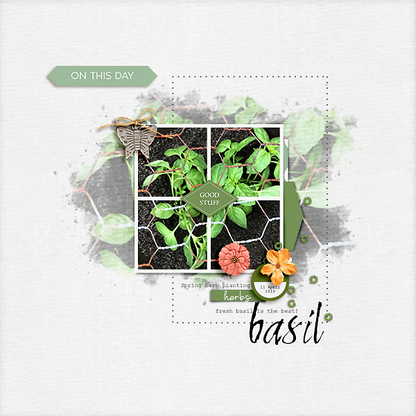 Basil