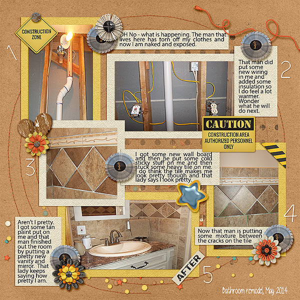 Bathroom-Remodel_May-2014