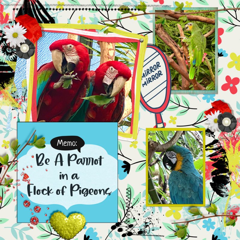 Be-A-Parrot