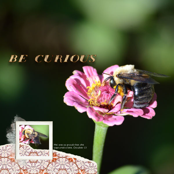 Be Curious - Moc 25