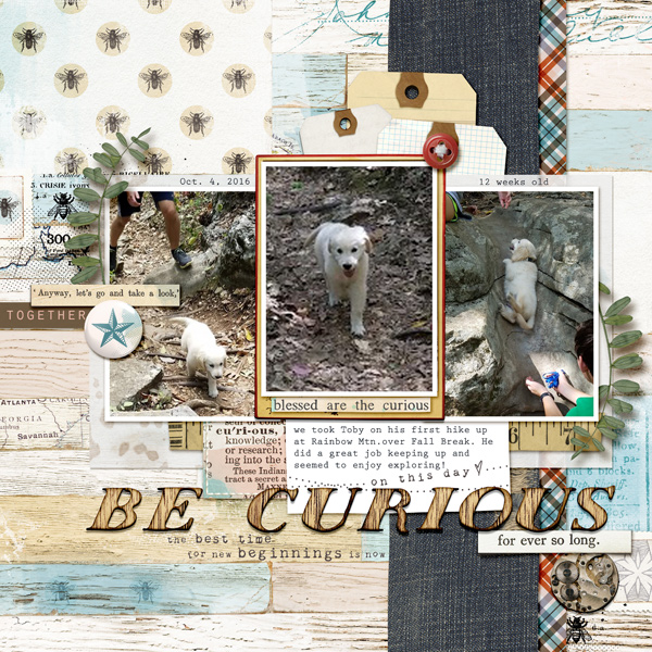 Be Curious