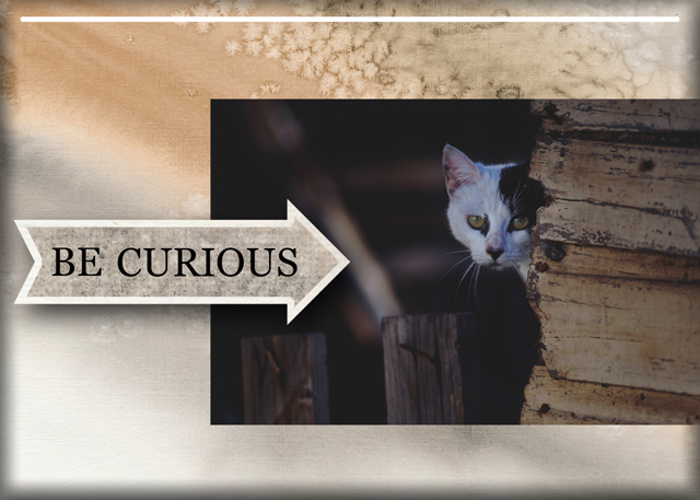 Be-Curious