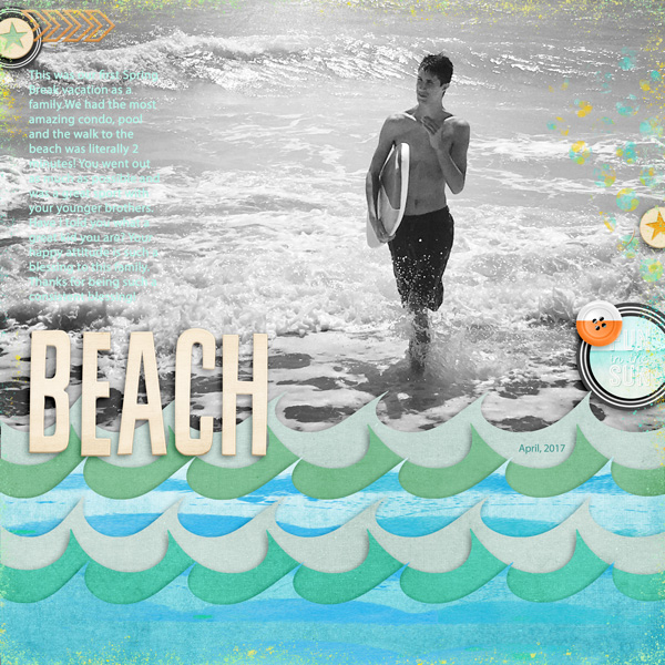 Beach 2017
