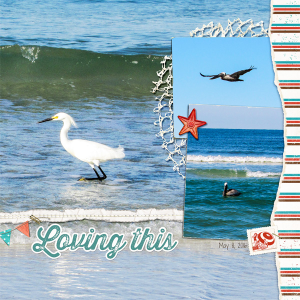 Beach Birds - right side