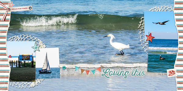 Beach Birds