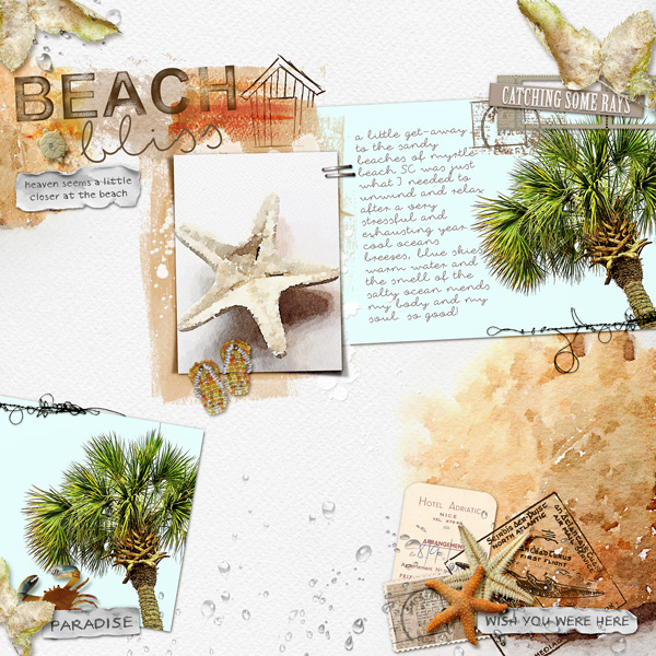 Beach Bliss