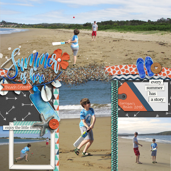 beach cricket