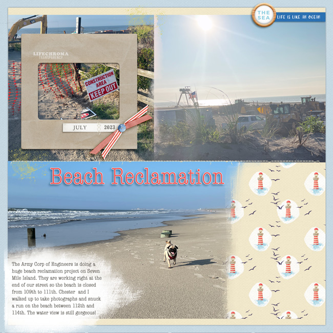 Beach-Reclamation-2023-Photo-Challenge-July