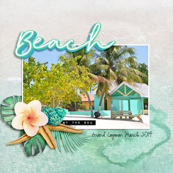 beach