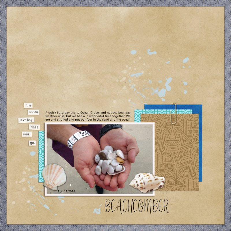 Beachcomber