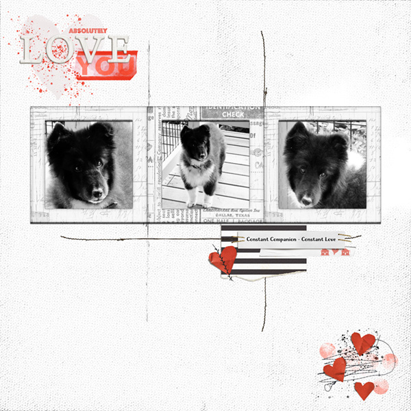 Bear-Bear