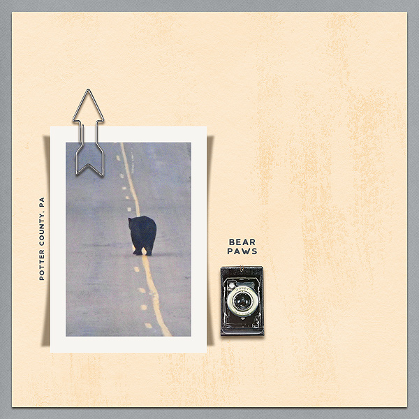 Bear Paws