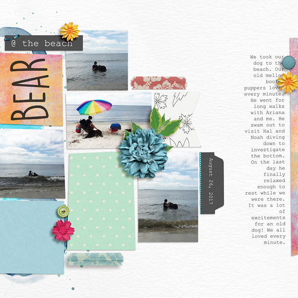 Bear @ the Beach