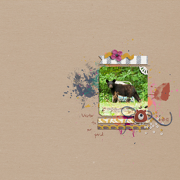Bear