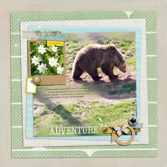 Bear