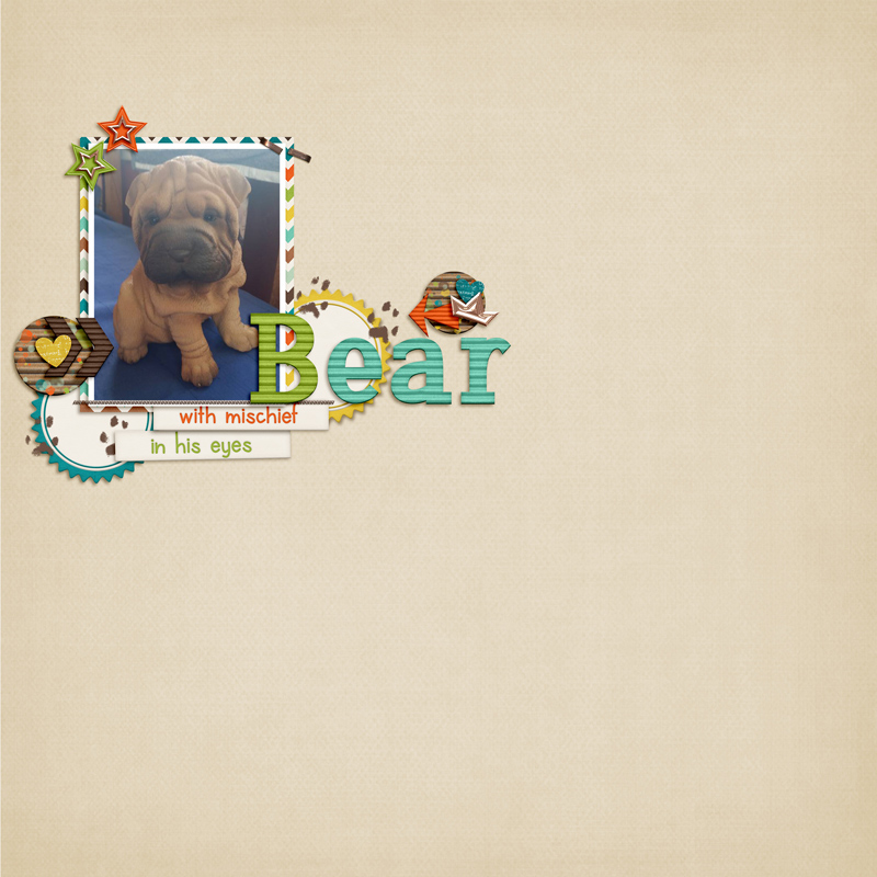 Bear