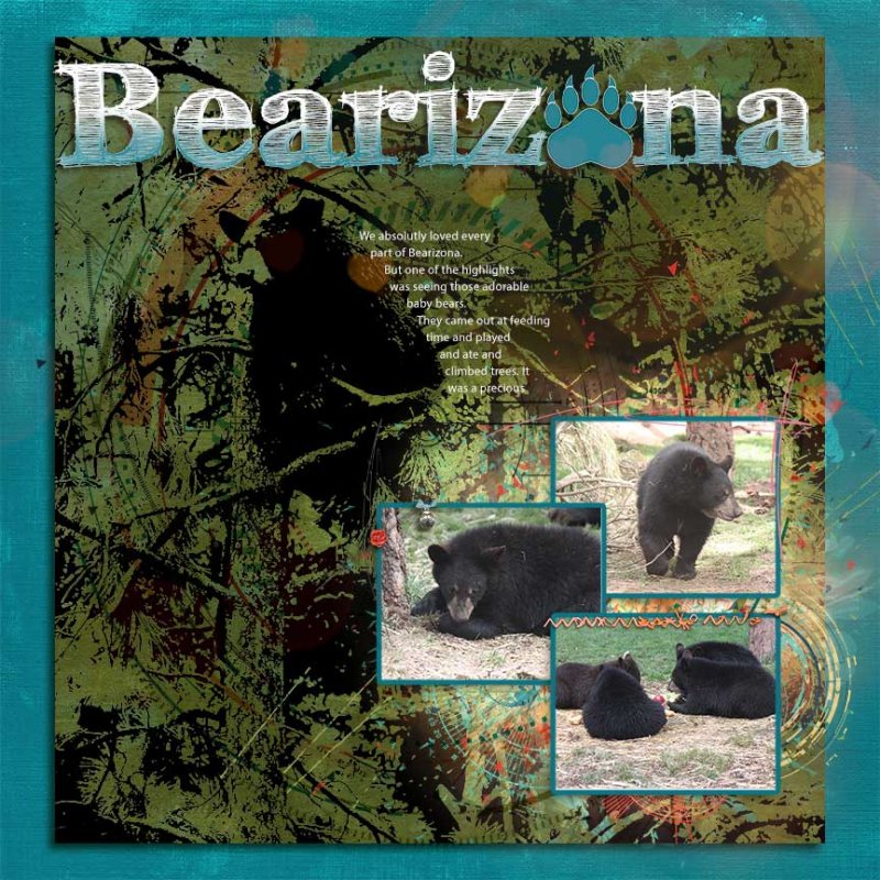 Bearizona-threshold