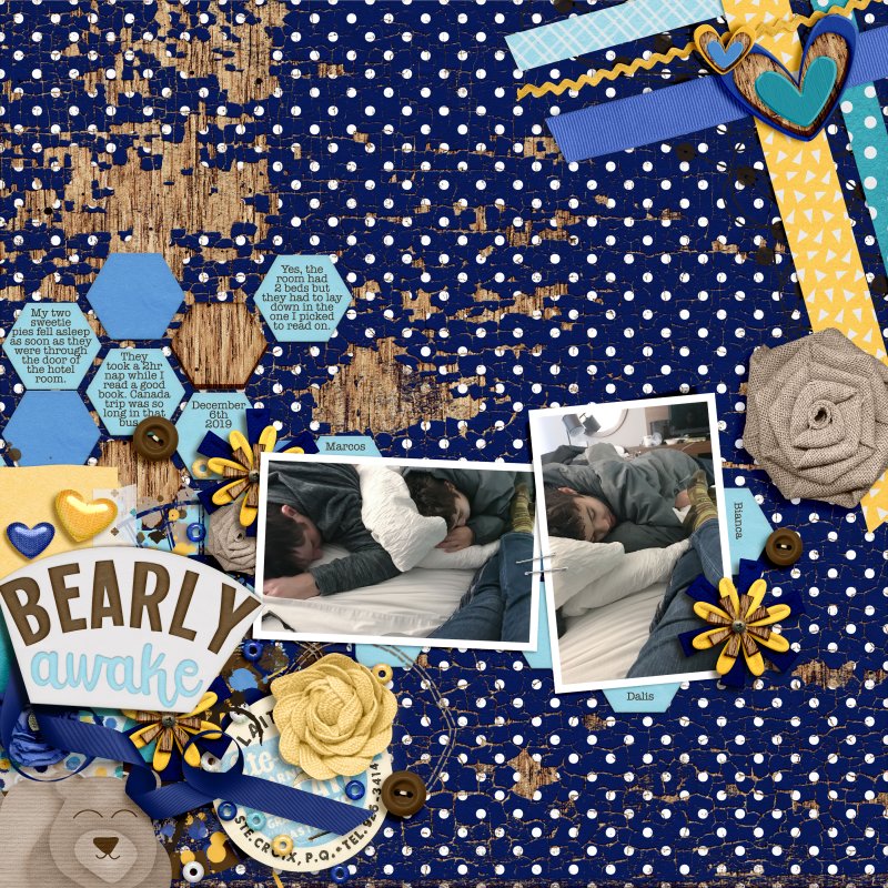 Bearly Awake