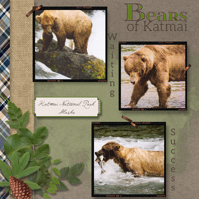 Bears-of-Katmai