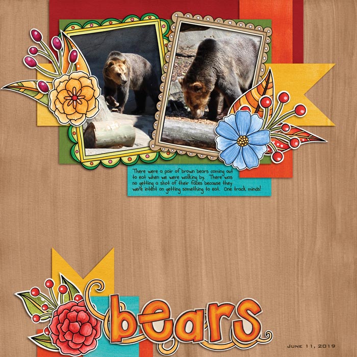 Bears