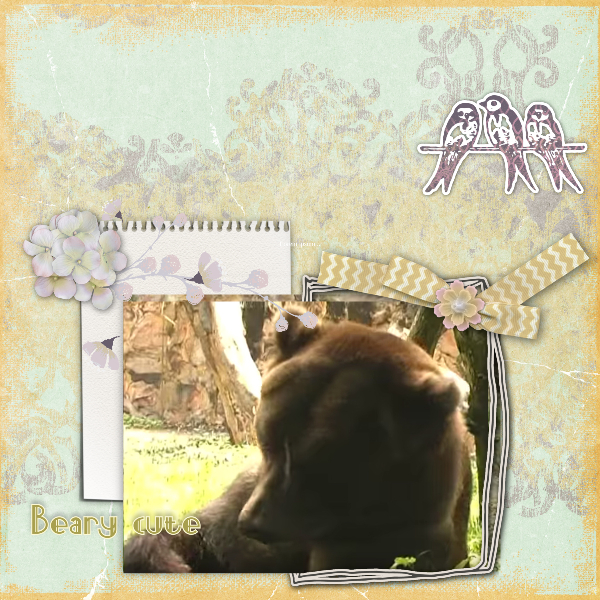 Beary Cute
