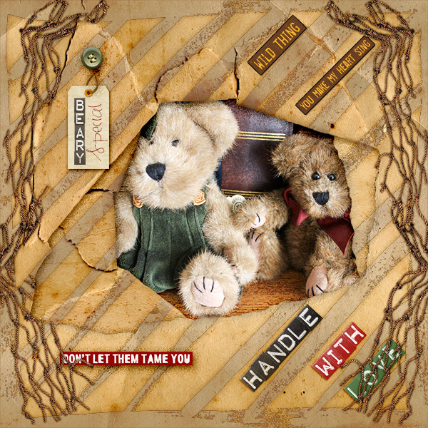 Beary Special