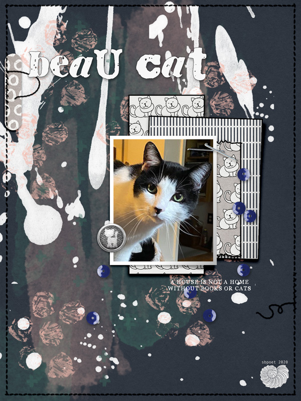 Beau Cat