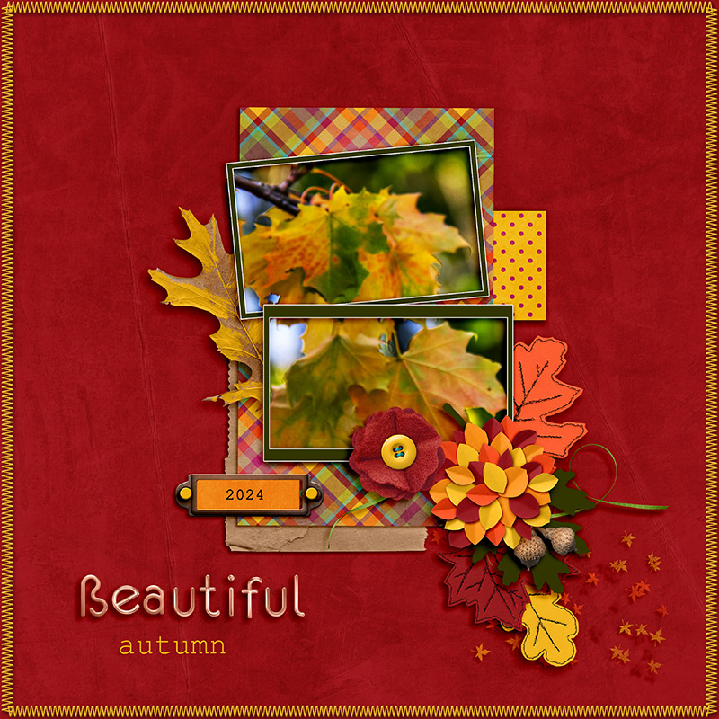 Beautiful Autumn