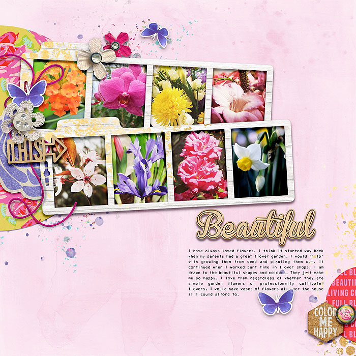 Beautiful Blooms