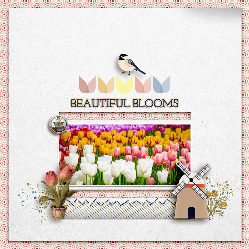 Beautiful Blooms