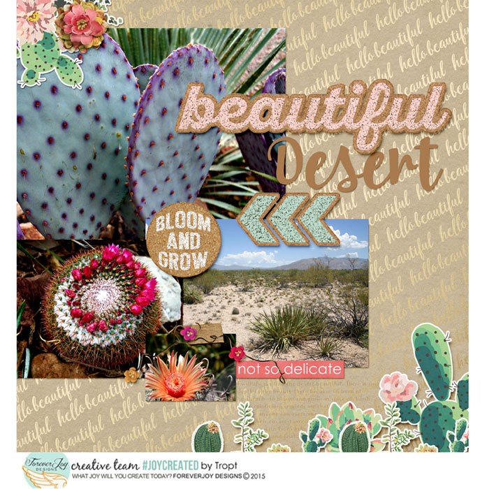 Beautiful Desert