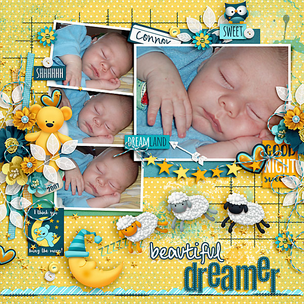 Beautiful Dreamer Connor 2007