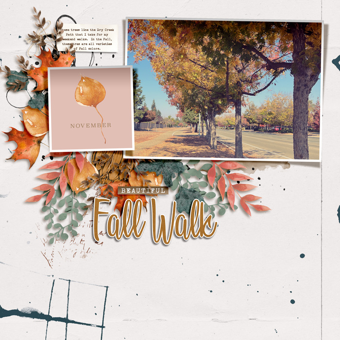 Beautiful Fall Walk