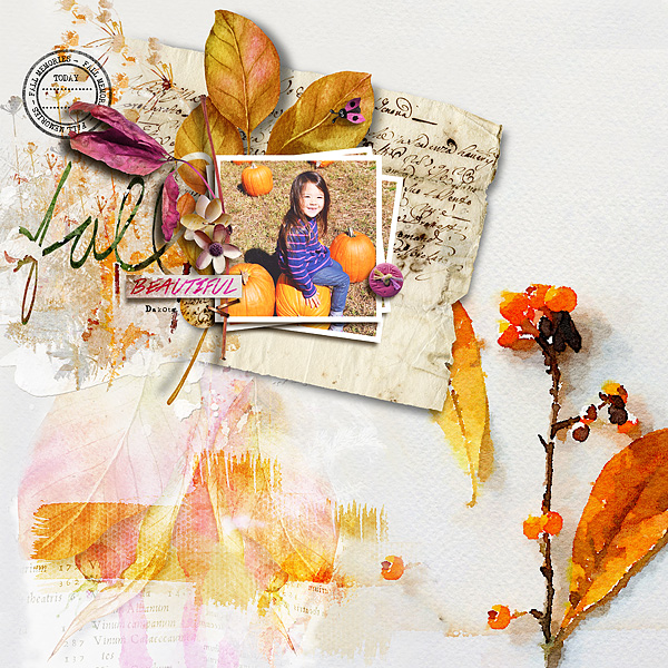 Beautiful Fall