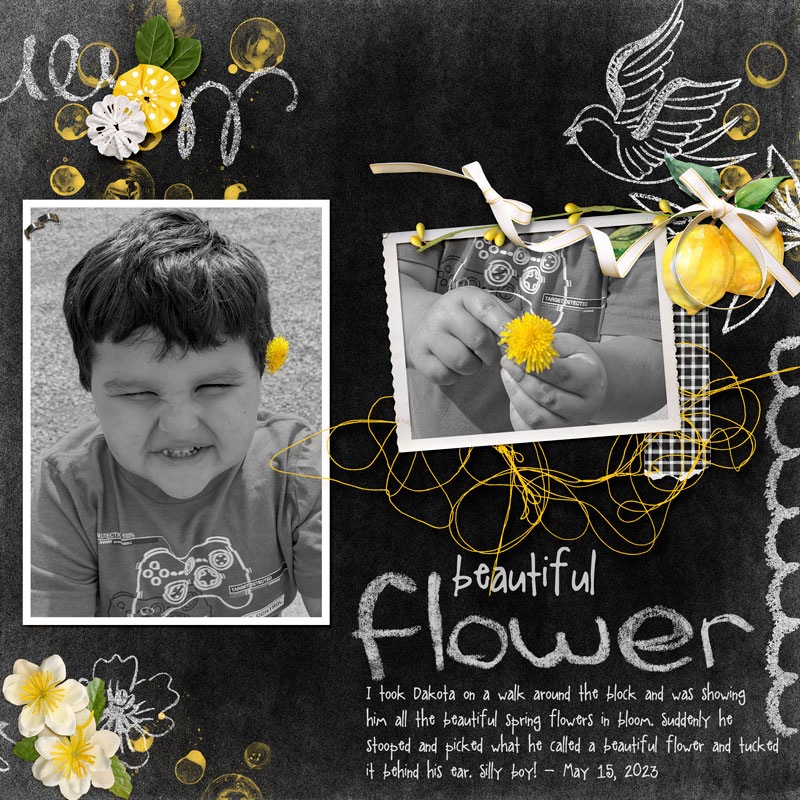 Beautiful-flower