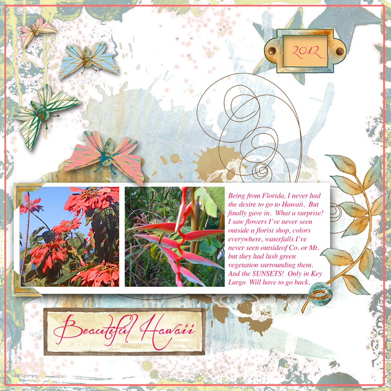 Beautiful-hawaii-dinsk-chal