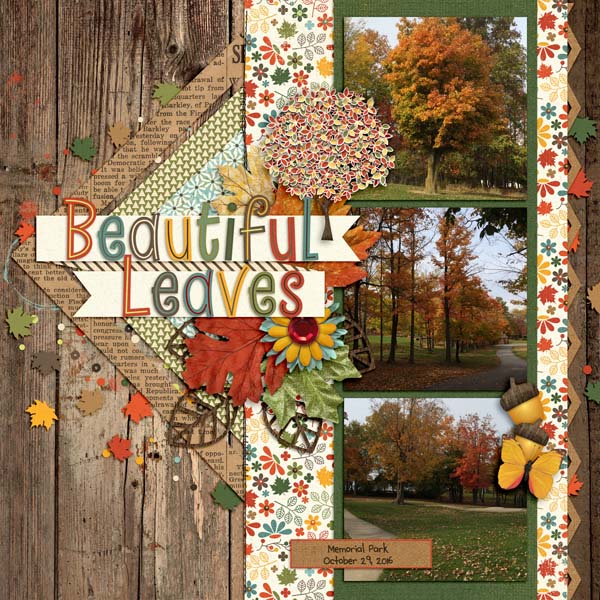 Beautiful Leaves