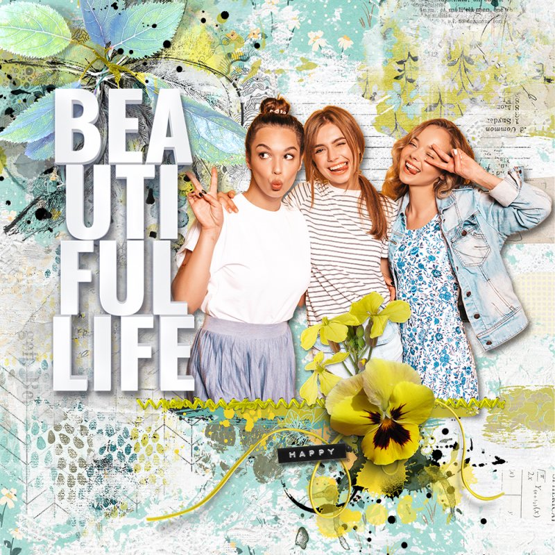 Beautiful Life