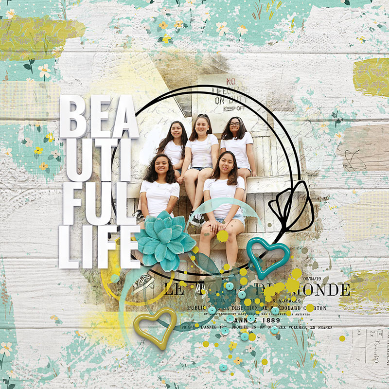 Beautiful Life
