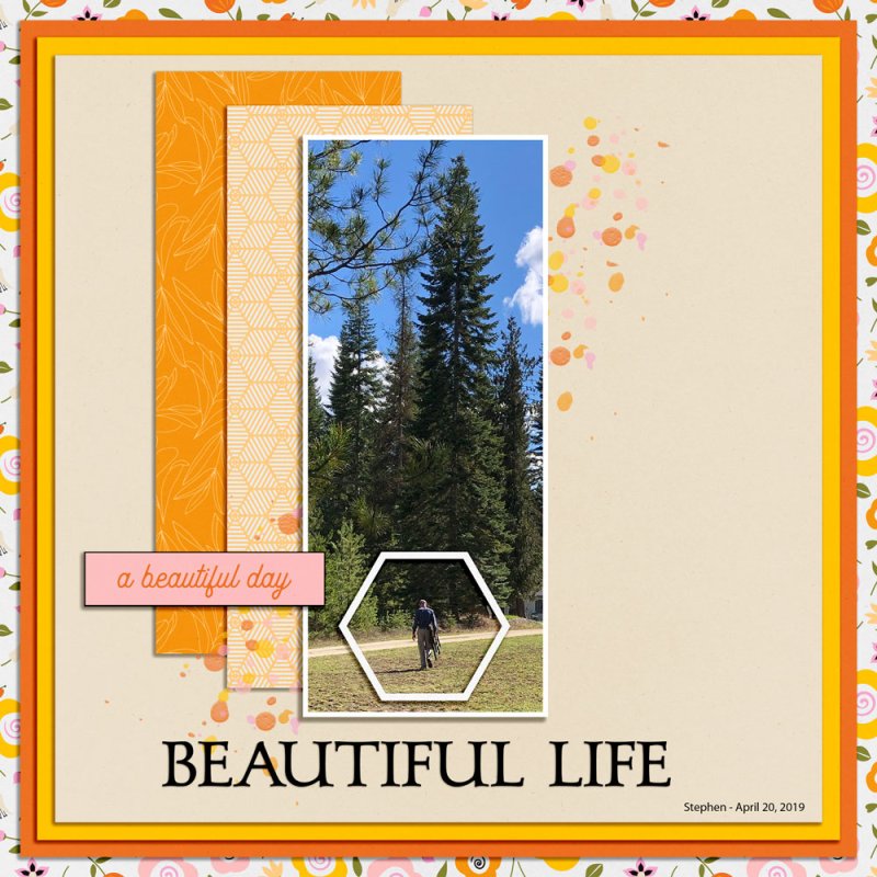 BEAUTIFUL LIFE