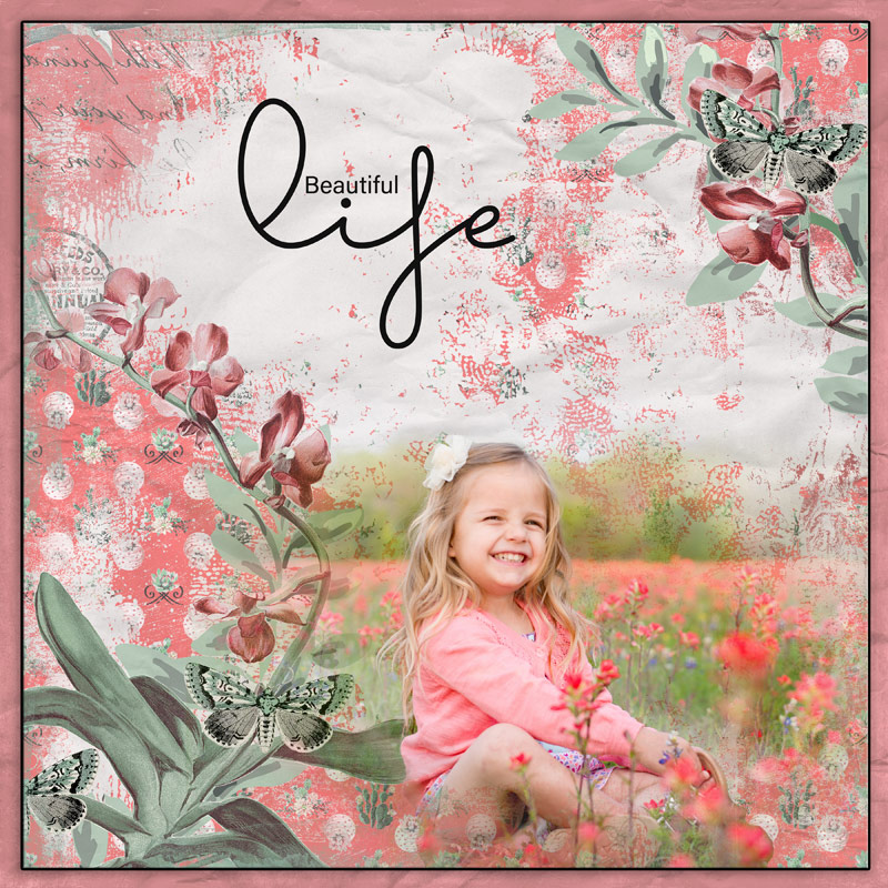 Beautiful Life