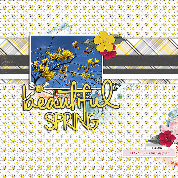 beautiful spring