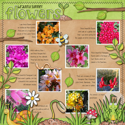 Beautiful Summer Flowers