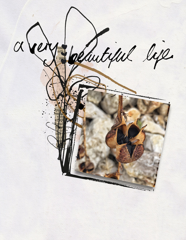 BeautifulLife