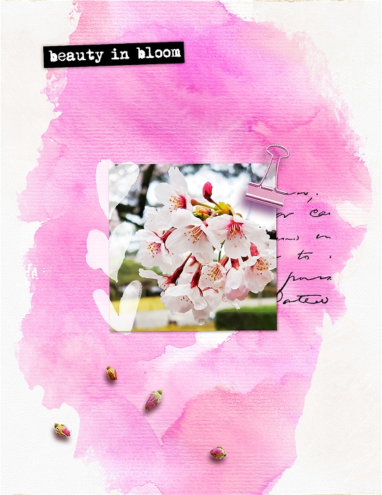 Beauty In Bloom