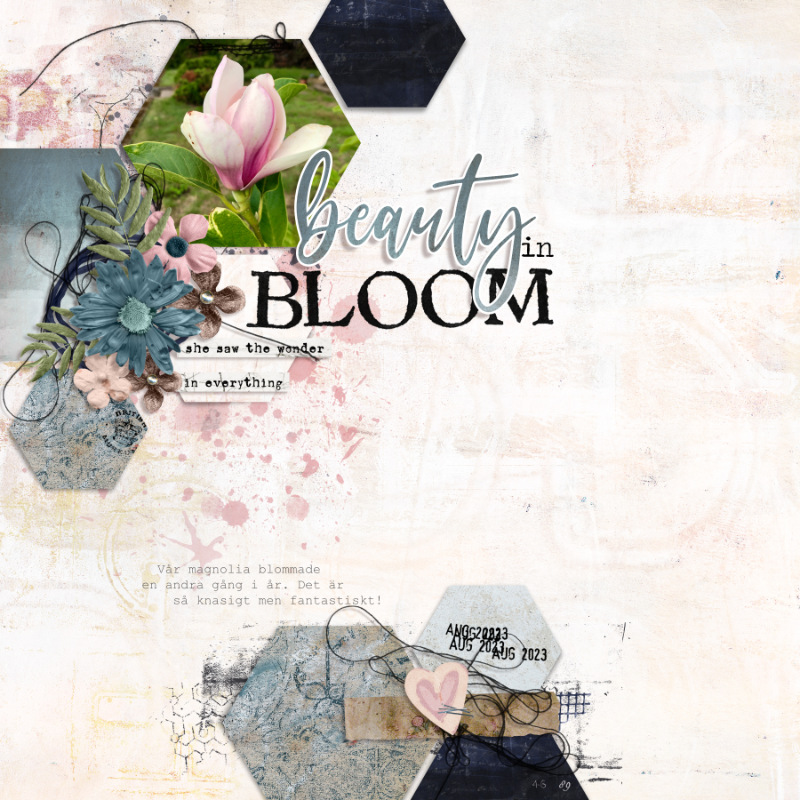 Beauty in Bloom